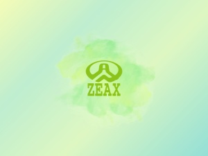 株式会社ＺＥＡＸ