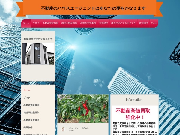 ハウスエージェント株式会社