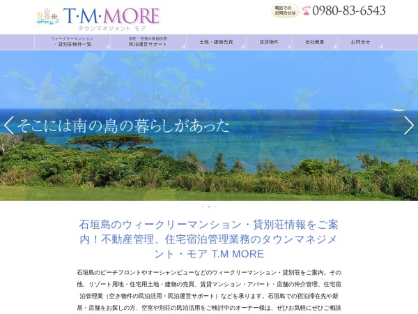 Ｔ・Ｍ・ＭＯＲＥ